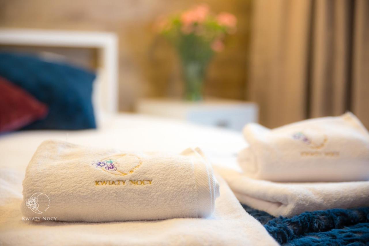 Apartamenty "Kwiaty Nocy" I "W Krainie Mchu" - Wisła Extérieur photo