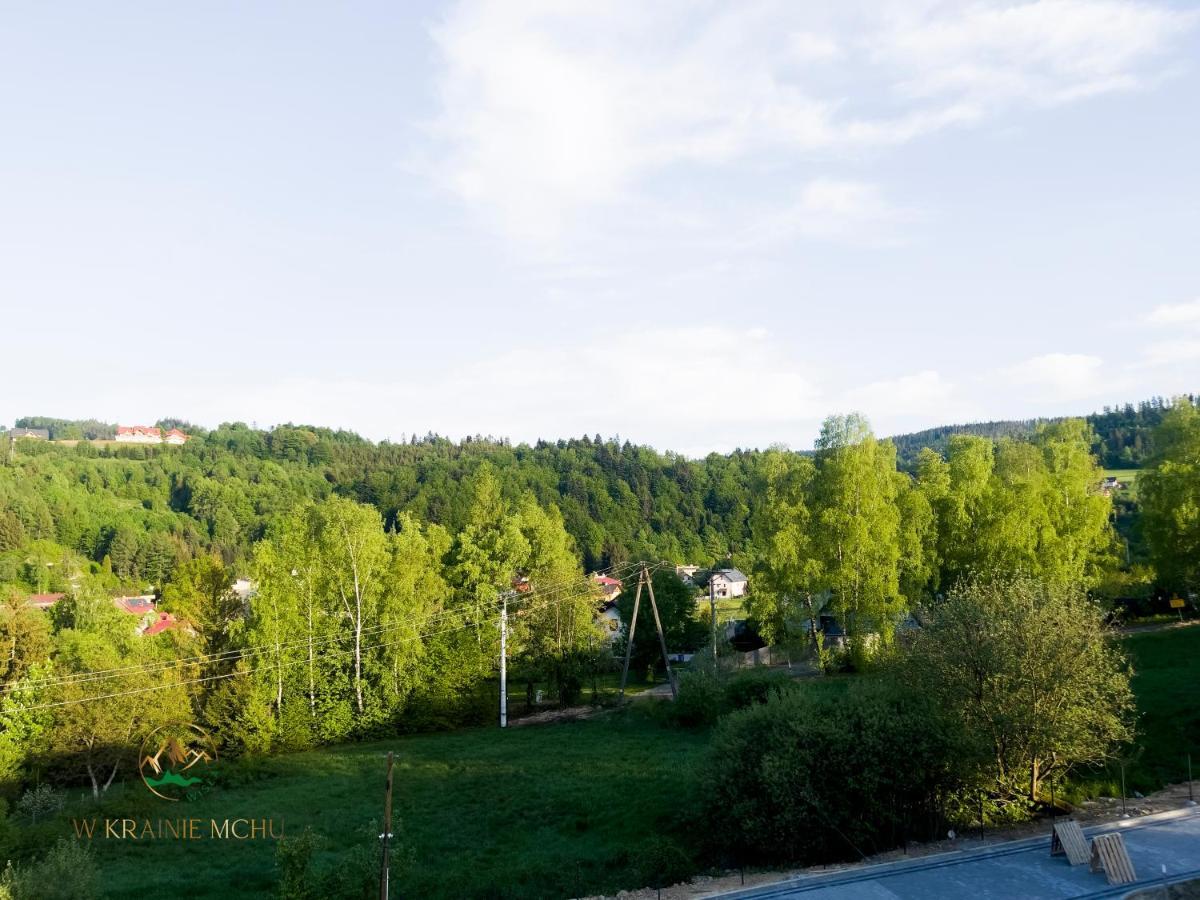 Apartamenty "Kwiaty Nocy" I "W Krainie Mchu" - Wisła Extérieur photo